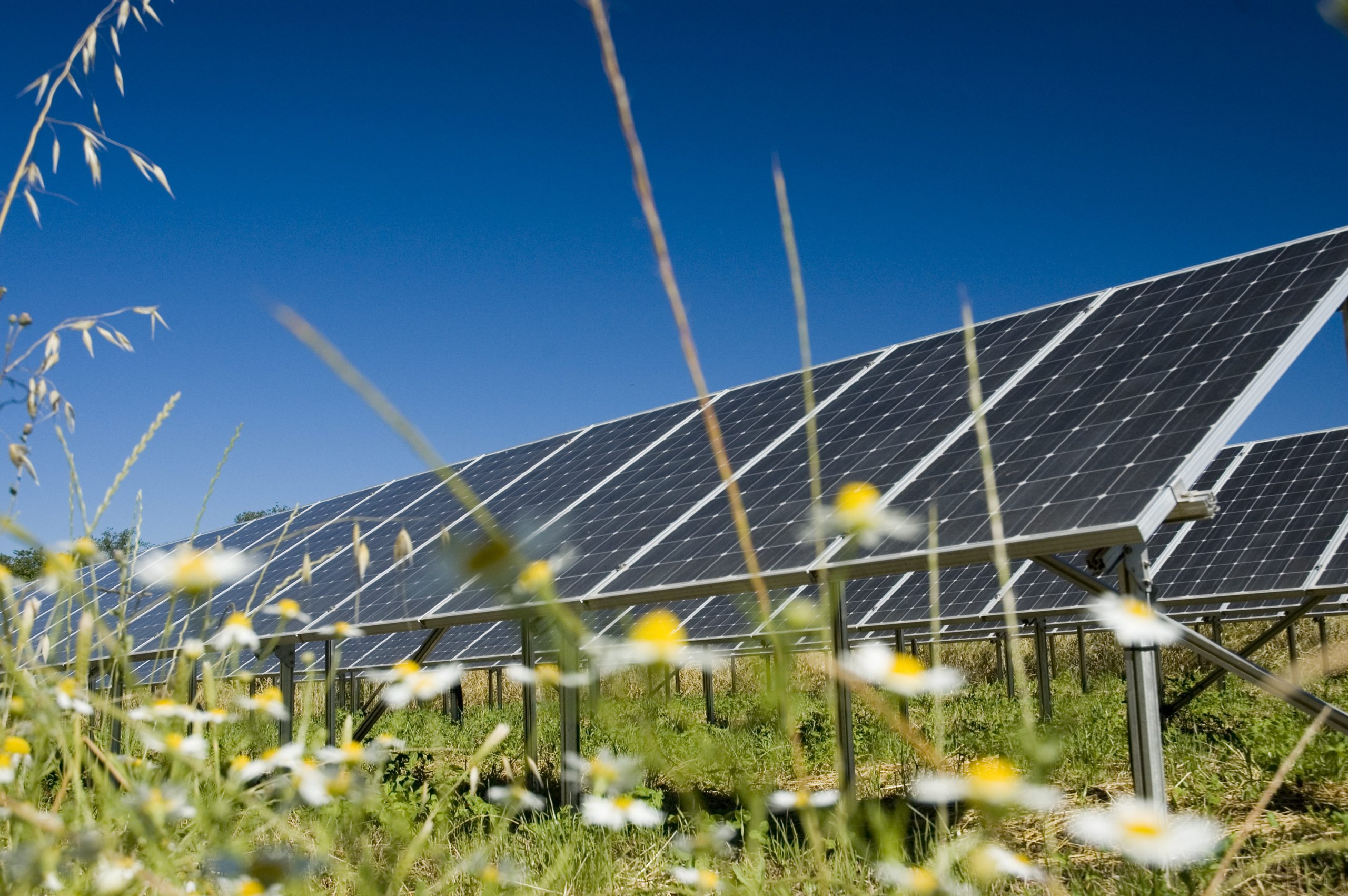 Still time to have your say on early plans for Springwell Solar Farm