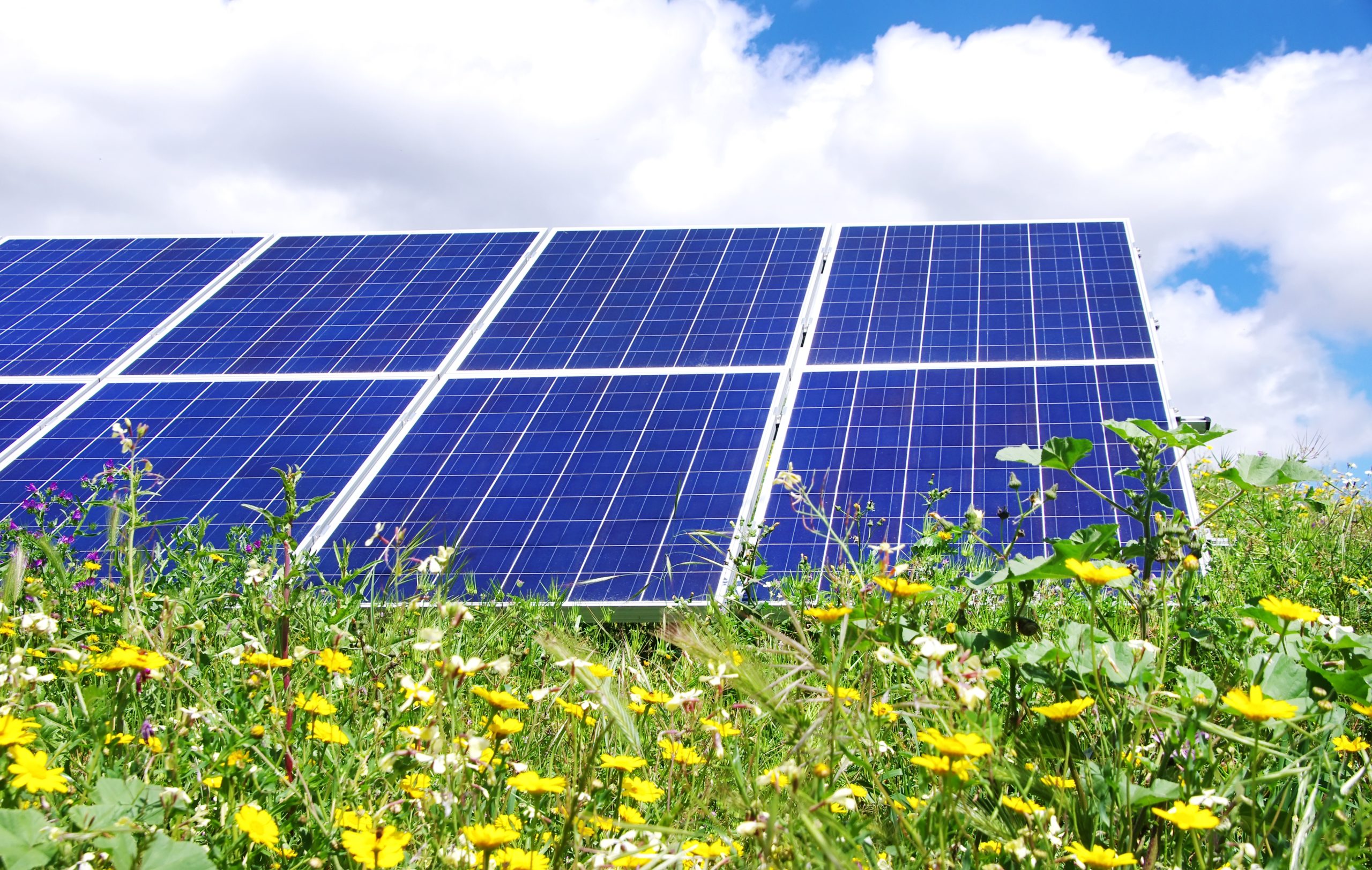 Consultation begins on proposed solar farm in North Kesteven which could power over 180,000 homes