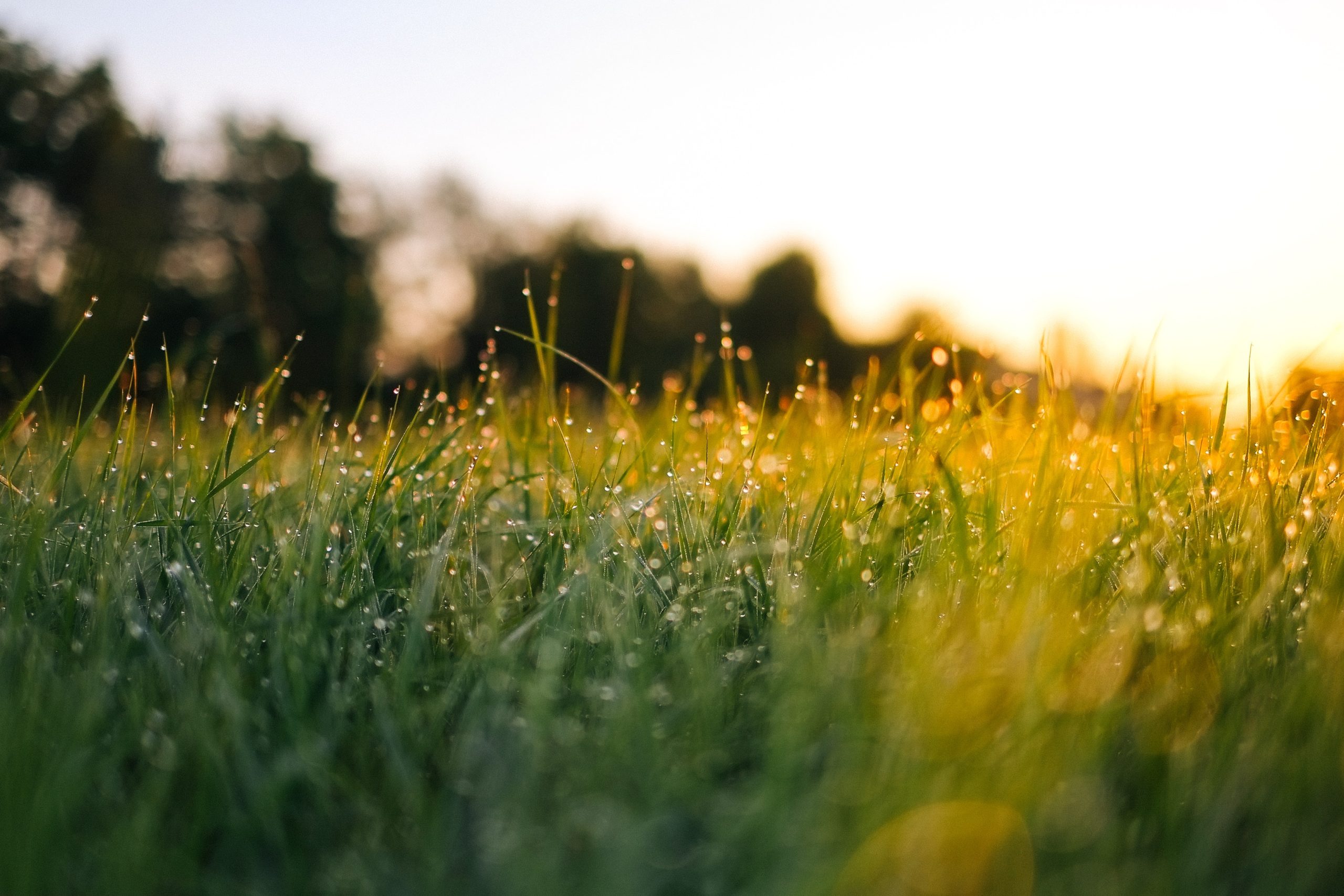 Consultation begins on new solar farm in North Kesteven which could power over 180,000 homes